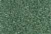 8/0 Toho Japanese Seed Beads - Spruce Lined Crystal Rainbow #699