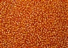 8/0 Toho Japanese Seed Beads - Burnt Orange Lined Lt Topaz #950