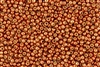 8/0 Toho Japanese Seed Beads - PermaFinish Burnt Copper Metallic #PF573