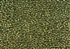 11/0 Toho Japanese Seed Beads - Metallic Lined Olive Luster #1007