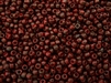11/0 Toho Japanese Seed Beads - Hybrid Red Pepper Picasso #Y304
