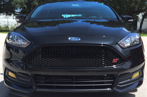 Focus ST Fog Light Tint