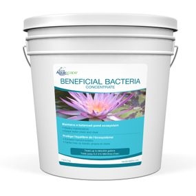 Aquascape Beneficial Bacteria 7lbs for koi ponds