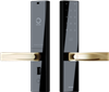 Cerradura inteligente WiFi Orvibo golden handle