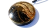 black tourmaline eye of horus Orgone pendant