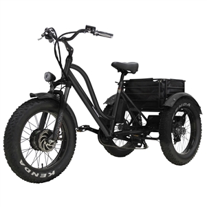 Florence Fat Tire 500W 48V (v3) with Hydraulic Brakes (Black)