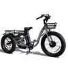 Emojo 500W Caddy Step Through Electric Trike