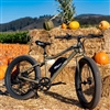 Emojo Wildcat Pro 750 Fat Tire Electric Bike