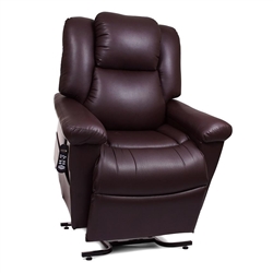 DayDreamer PowerPillow PR-632 with MaxiComfort Lift Chair