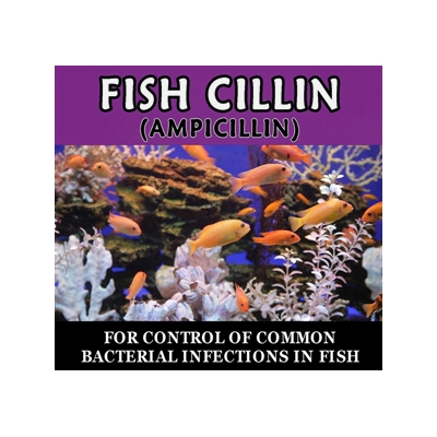 Fish Cillin- Ampicillin 250mg