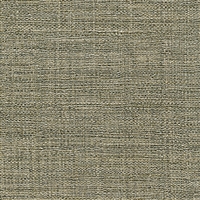 Elitis Madagascar VP 631 19.  Seaweed green hand woven texture vinyl wallpaper.  Click for details and checkout >>