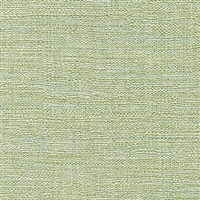 Elitis Madagascar VP 631 38.  Mint green hand woven texture vinyl wallpaper.  Click for details and checkout >>