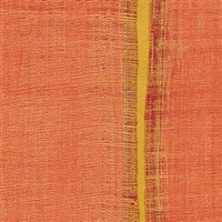 Elitis Nomades VP 895 31.  Pumpkin organge silk and linen weave vinyl wallpaper for a wall. Click for details and checkout >>