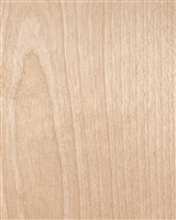 White Birch Wooden Wallpaper.  Click for details and checkout >>