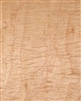 Maple Curly Wood Veneer Wallpaper.  Click for details and checkout >>