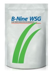 B-Nine WSG Plant Growth Regulator - 1 Lb.