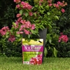 BGI Bougainvillea 6-8-10 Plant Food - 10 lb