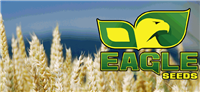 Eagle Seed Buck Monster Forage Wheat - 50 lbs