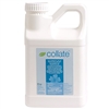 Collate Ethephon Plant Growth Regulator - 1 Gallon