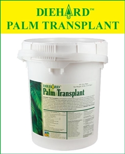 Diehard Palm Transplant Fertilizer - 100 x 8 Oz. Bags