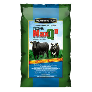 MaxQ II Tall Fescue Perennial Grass - 25 lbs.