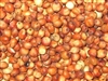 Milo Grain Sorghum Seed - 10 Lbs.