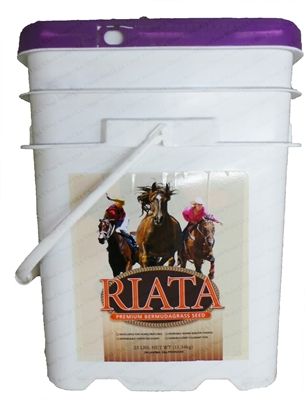 Riata Bermuda Grass - 25 Lb. Pail