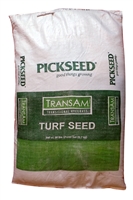 TransAm Intermediate Ryegrass Seed - 50 Lbs.