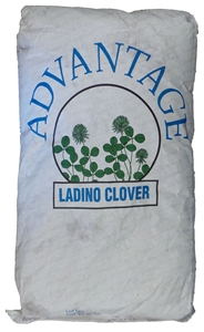 Advantage Ladino Clover Seed - 50 Lbs.