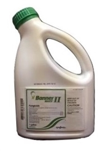 Banner Maxx II Fungicide - 1 Gallon