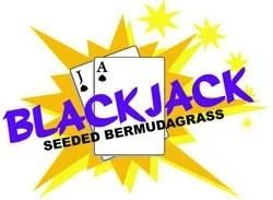 Blackjack Bermuda Grass Seed - 10 Lbs.