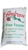 Ambrose Chewing Fescue - 1 lb.