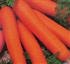 Carrot Nantes Coreless Seed - 1 Packet