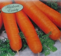 Carrot Nantes Coreless Seed Heirloom - 1 Packet