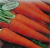 Carrot Danvers Half Long Seed Heirloom - 1 Packet