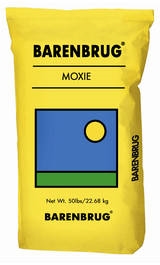 Moxie Teff Grass Seed - 50 Lbs.