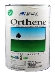 Orthene TTO 97 Insecticide - .773 Lb.