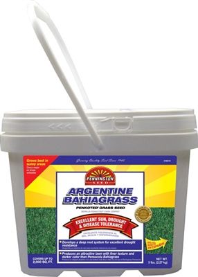 Pennington Argentine Bahia Grass Seed Pail - 5 Lbs.