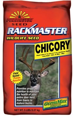 Rackmaster Chicory Seed - 5 Lbs