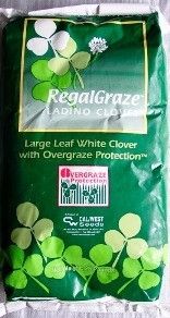 Regal Graze Ladino Clover Seed - 10 Lbs.