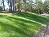 Sahara Bermuda Grass Seed - 5 Lbs.