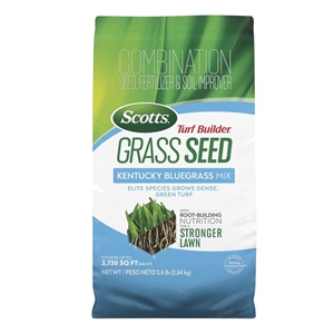 Scotts Turf Builder Kentucky Bluegrass Seed - 3 Lbs.