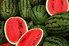 Charleston Gray Watermelon Seeds (heirloom variety) - 1 packet