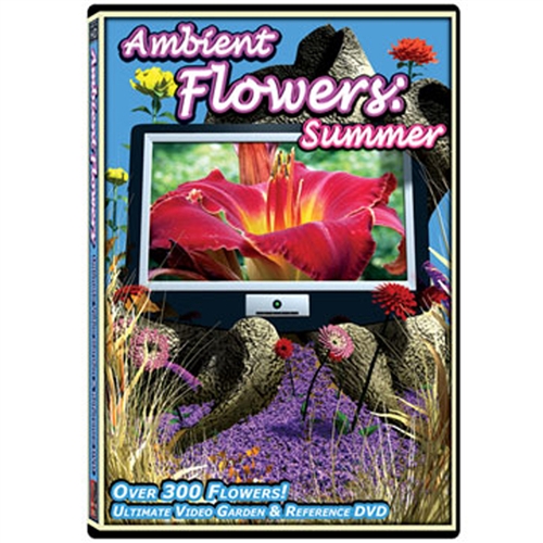 ambient summer flowers dvd