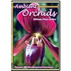 ambient flowers dvd orchids