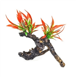 Aquatop Fiery Red Plant on Resin Driftwood