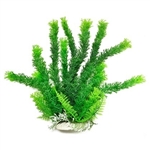 Aquatop Cabomba Plant 12"