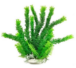 Aquatop Plant Cabomba 6"