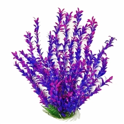 Aquatop Plant Hygrophila Pink/Purple 20"