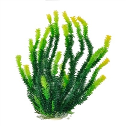 Aquatop Bushy Leaf Grass w/ Yellow Tip Plant 20"